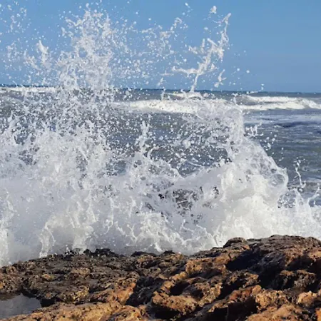 Hotel Central Torrevieja Hotel